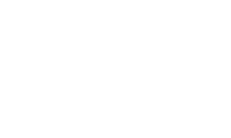 DaneseLogo
